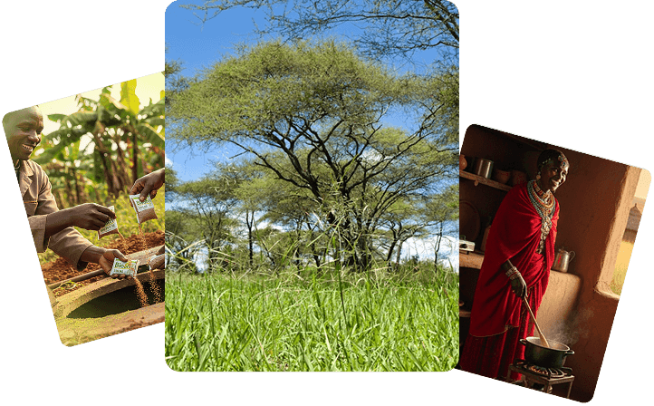 Bio Afri Solns hero-section